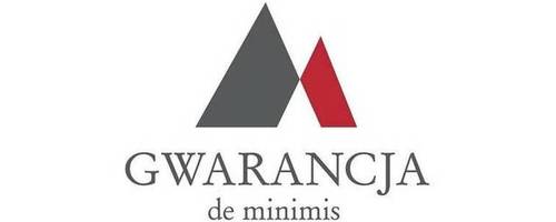 Gwarancje de minimis