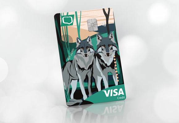 kredytowa_visa_credit